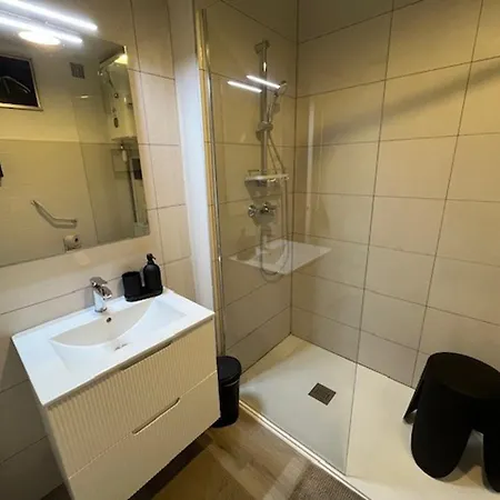 T2 Avec Loggias, Face Aux Thermes, Parking Prive, Wifi Gratuit, Animaux Admis - - Fr-1-503-138