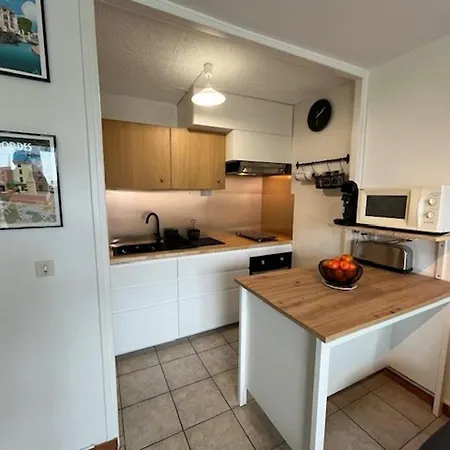 T2 Avec Loggias, Face Aux Thermes, Parking Prive, Wifi Gratuit, Animaux Admis - - Fr-1-503-138 Apartment