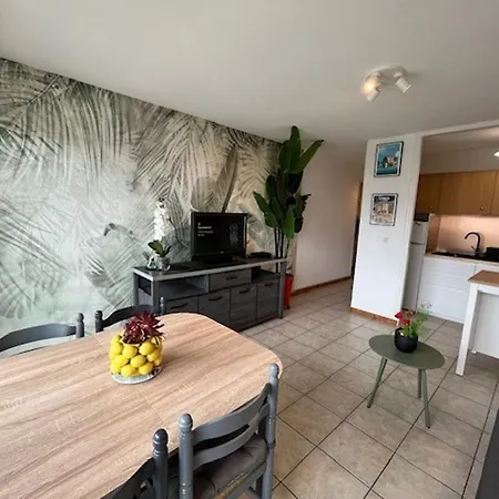 Apartment T2 Avec Loggias, Face Aux Thermes, Parking Prive, Wifi Gratuit, Animaux Admis - - Fr-1-503-138